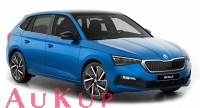 Anhngerkupplung Skoda Scala